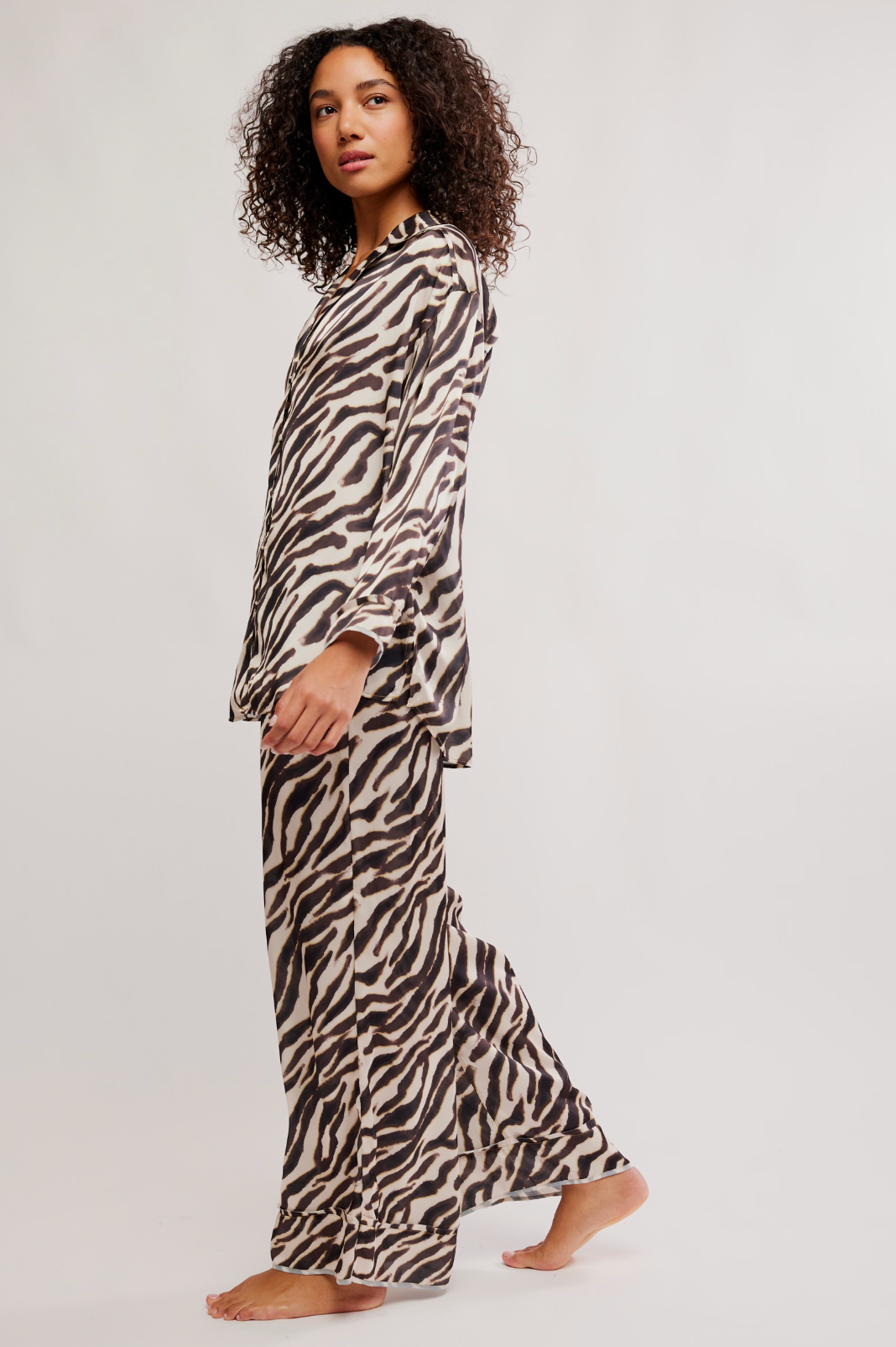 Dreamy Days Set in Zebra